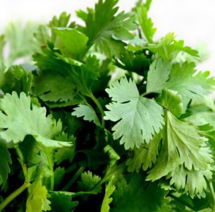 Did you know about Coriander?